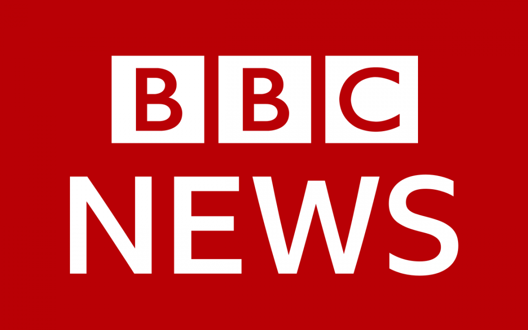 BBC News Text inspector